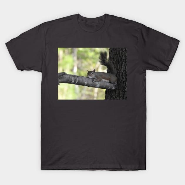 Eastern Gray Squirrel T-Shirt by eBirder